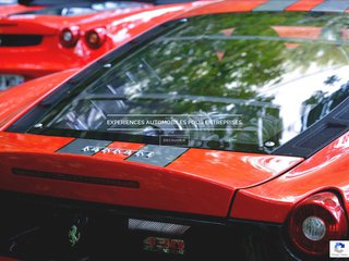 Détails : Rallye en supercar pour entreprise : pour renforcer les liens